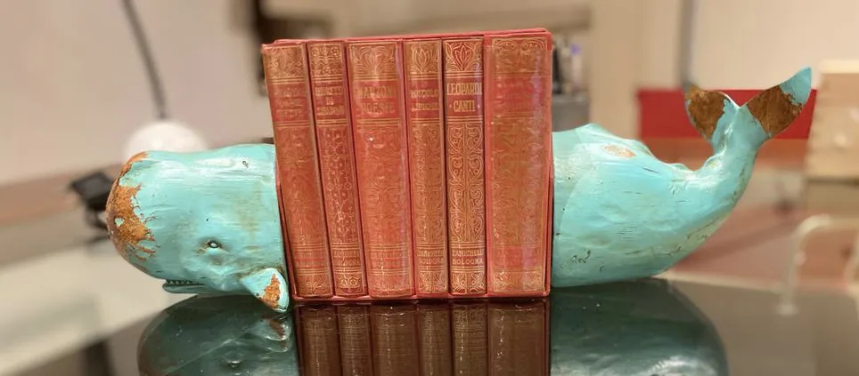 Diritto delle successioni