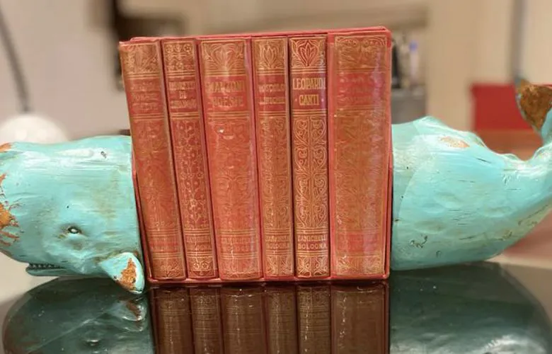 Diritto delle successioni